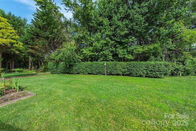 16 Red Barn Ln, Fletcher, NC 28732 - view of green lawn with a vegetable garden