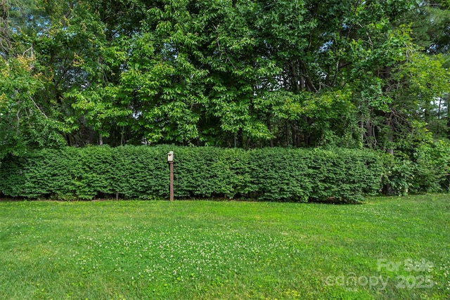 16 Red Barn Ln, Fletcher, NC 28732 - view of green lawn