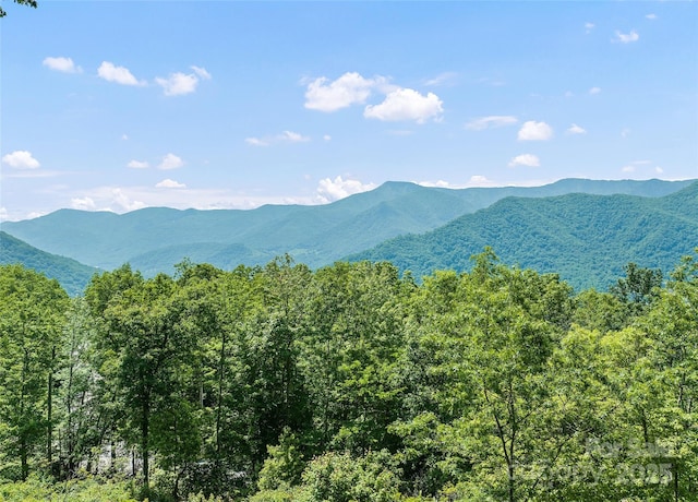 724 Pless Underwood Rd, Maggie Valley, NC 28751 - view of mountain background with a forest