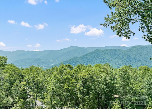 724 Pless Underwood Rd, Maggie Valley, NC 28751 - view of mountain backdrop with a heavily wooded area