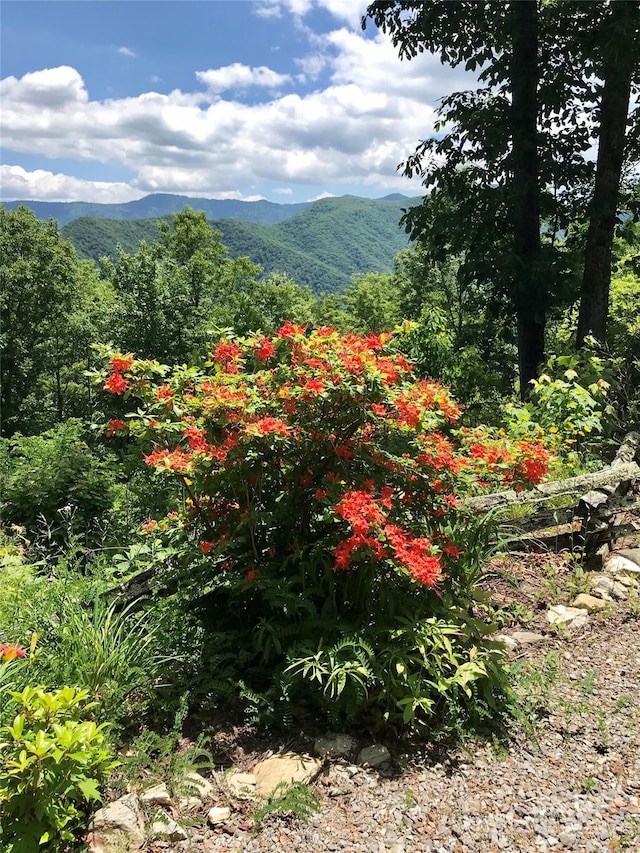 724 Pless Underwood Rd, Maggie Valley, NC 28751 - view of mountain background featuring a heavily wooded area