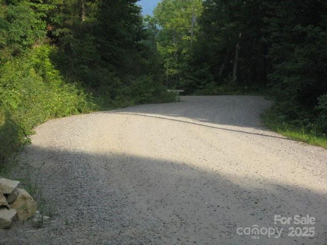 724 Pless Underwood Rd, Maggie Valley, NC 28751 - view of road featuring a view of trees