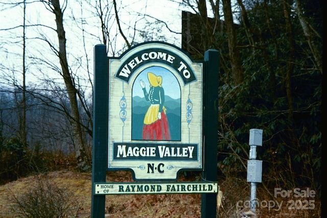 724 Pless Underwood Rd, Maggie Valley, NC 28751 - exterior view