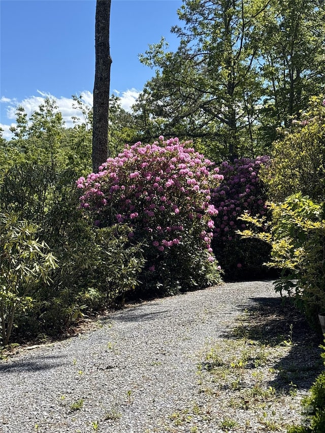 724 Pless Underwood Rd, Maggie Valley, NC 28751 - view of yard