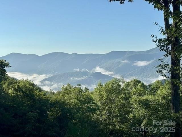 724 Pless Underwood Rd, Maggie Valley, NC 28751 - photo 4