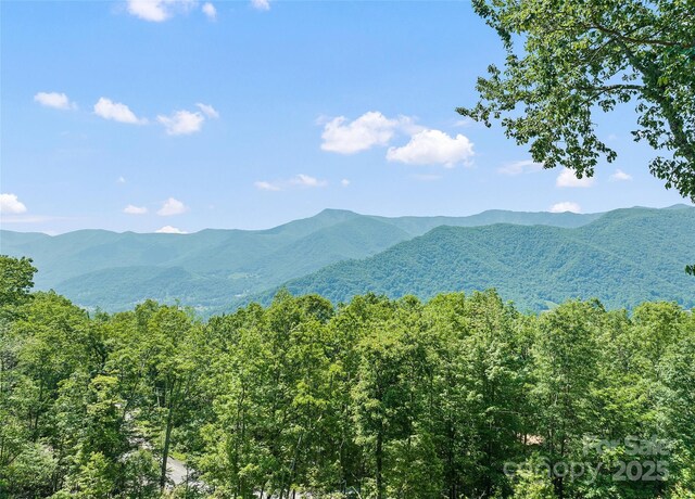 724 Pless Underwood Rd, Maggie Valley, NC 28751 - photo 33