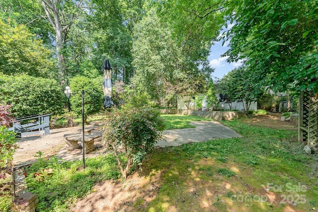 220 Blackberry Trl, Concord, NC 28027 - view of grassy yard