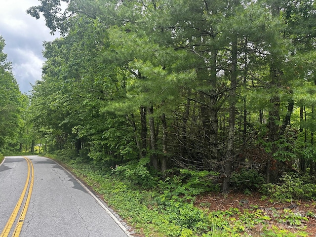 784 Shumont Rd, Black Mountain, NC 28711