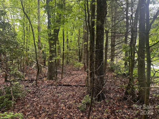 784 Shumont Rd, Black Mountain, NC 28711