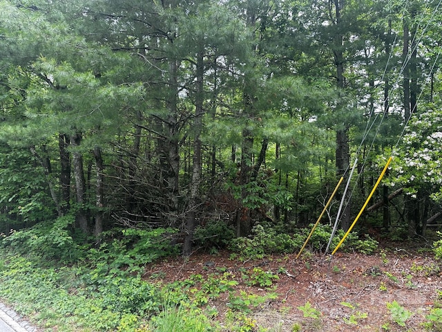 784 Shumont Rd, Black Mountain, NC 28711