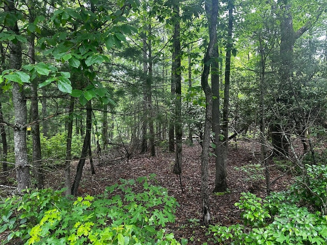 784 Shumont Rd, Black Mountain, NC 28711