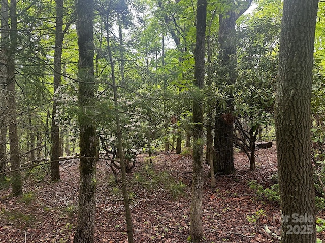 784 Shumont Rd, Black Mountain, NC 28711