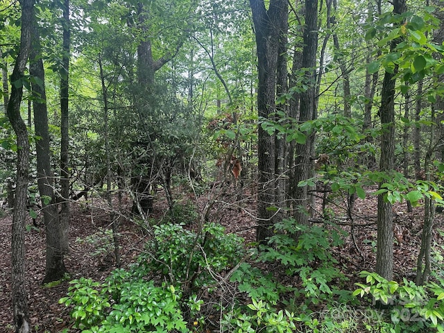 784 Shumont Rd, Black Mountain, NC 28711