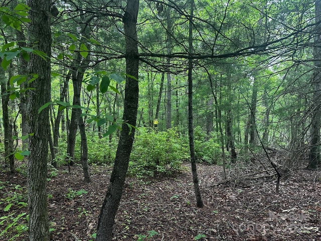 784 Shumont Rd, Black Mountain, NC 28711