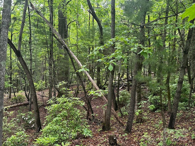 784 Shumont Rd, Black Mountain, NC 28711