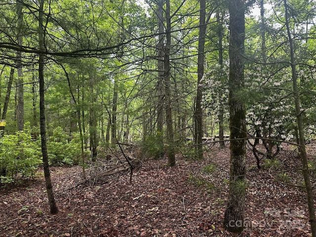 784 Shumont Rd, Black Mountain, NC 28711