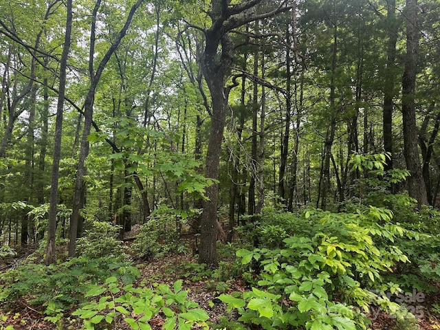 784 Shumont Rd, Black Mountain, NC 28711