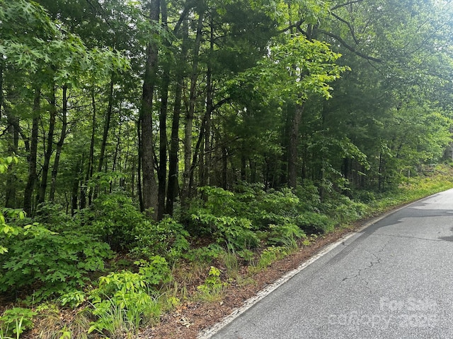 784 Shumont Rd, Black Mountain, NC 28711