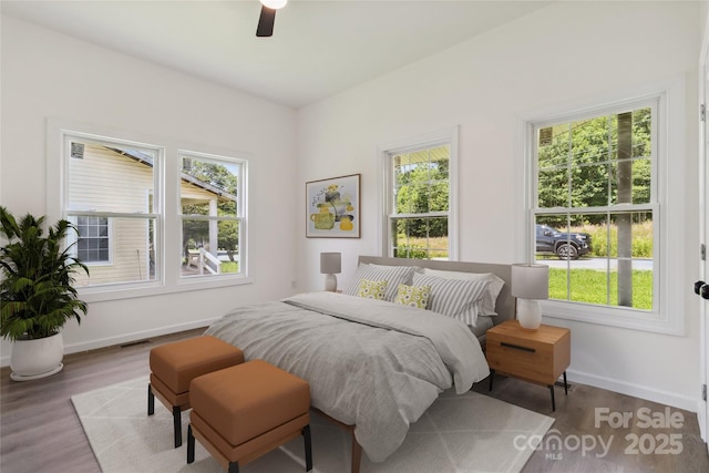 113 Woodside Ave, Gastonia, NC 28054 - bedroom featuring multiple windows, wood finished floors, and a ceiling fan