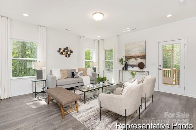 24578 Blue Heron Cir Unit 407, Lancaster, SC 29720 - living area with wood finished floors, healthy amount of natural light, baseboards, and recessed lighting