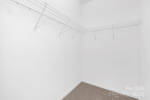 24578 Blue Heron Cir Unit 407, Lancaster, SC 29720 - spacious closet with carpet flooring