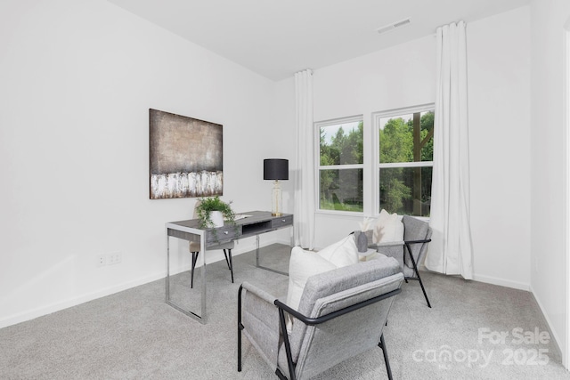 24578 Blue Heron Cir Unit 407, Lancaster, SC 29720 - carpeted office with baseboards