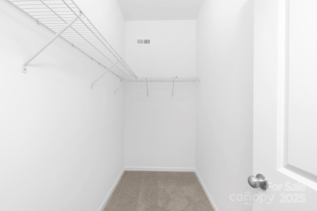 24578 Blue Heron Cir Unit 407, Lancaster, SC 29720 - walk in closet featuring carpet