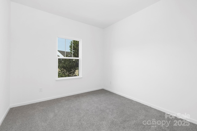 24578 Blue Heron Cir Unit 407, Lancaster, SC 29720 - carpeted empty room featuring baseboards