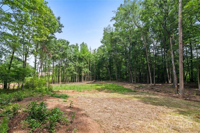 1004 E Sandy Ridge Rd, Monroe, NC 28112 - view of wooded area
