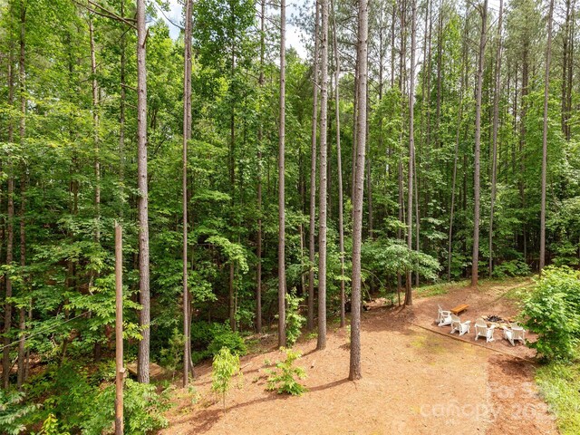168 Chasewood Dr, Rutherfordton, NC 28139 - photo 12