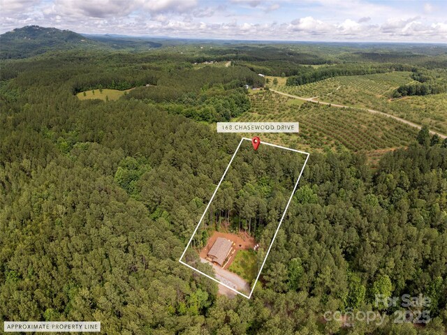 168 Chasewood Dr, Rutherfordton, NC 28139 - photo 35