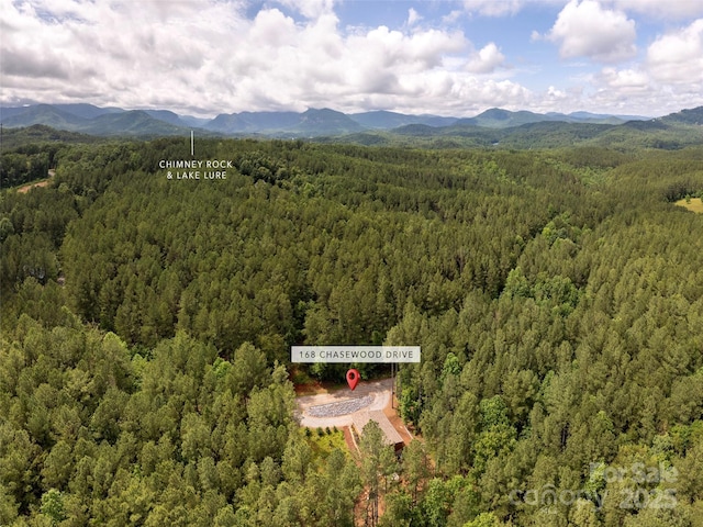 168 Chasewood Dr, Rutherfordton, NC 28139 - photo 36
