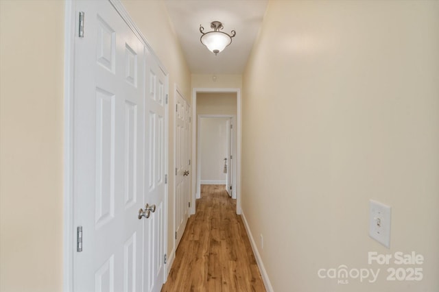 30 Linn Garden Ln, Swannanoa, NC 28778 - corridor featuring light wood-style floors and baseboards