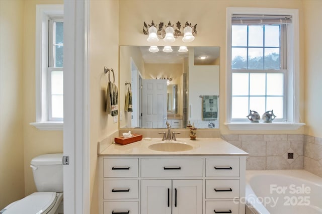 30 Linn Garden Ln, Swannanoa, NC 28778 - bathroom with a garden tub, vanity, and plenty of natural light