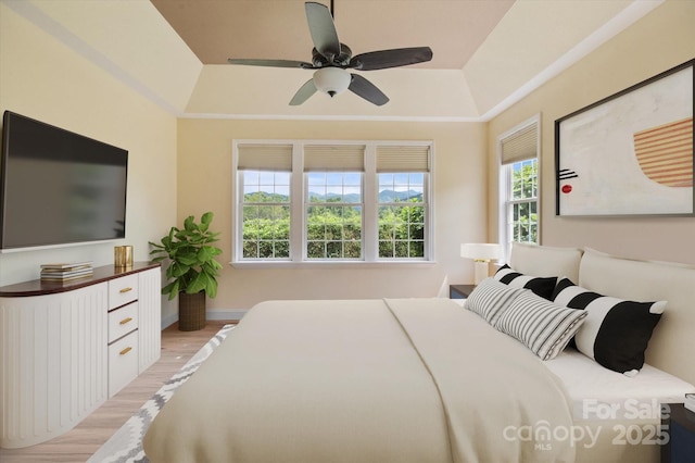 30 Linn Garden Ln, Swannanoa, NC 28778 - bedroom with light wood-style flooring, a raised ceiling, and ceiling fan