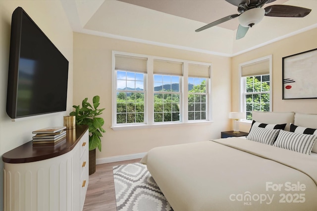 30 Linn Garden Ln, Swannanoa, NC 28778 - bedroom featuring light wood-style flooring and ceiling fan