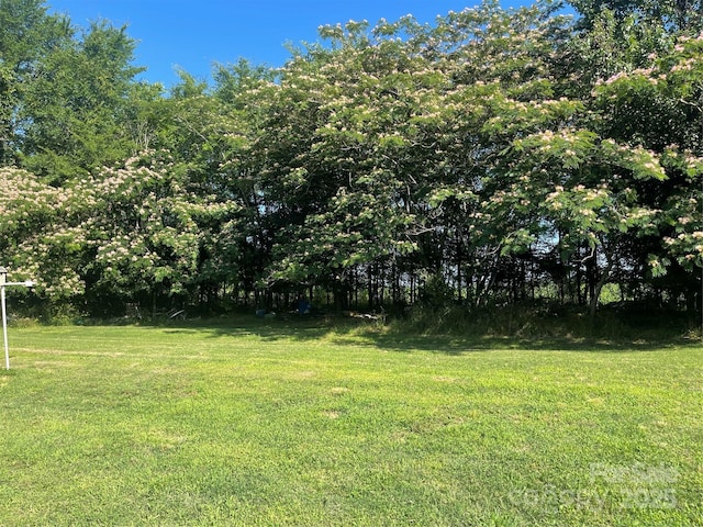 408 Moose St, Albemarle, NC 28001 - view of green lawn