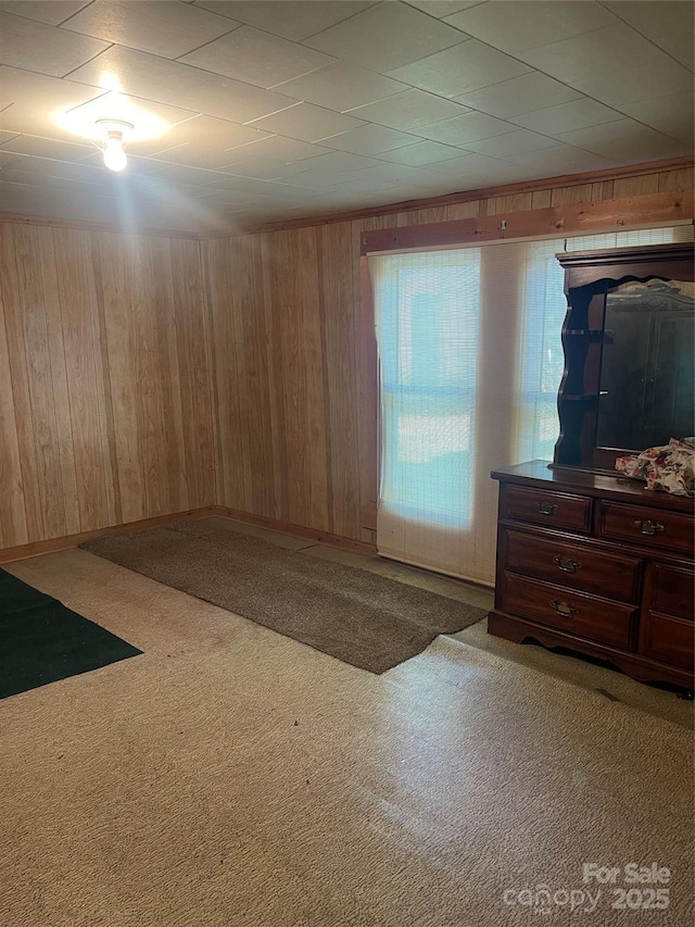 408 Moose St, Albemarle, NC 28001 - empty room with carpet floors and wooden walls