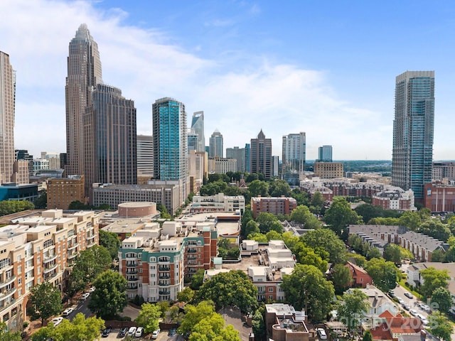 415 N Church St Unit 311, Charlotte, NC 28202 - skyline view