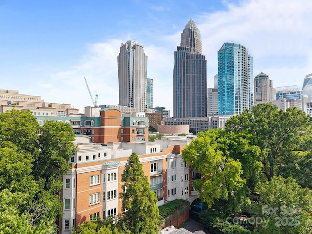 415 N Church St Unit 311, Charlotte, NC 28202 - skyline view