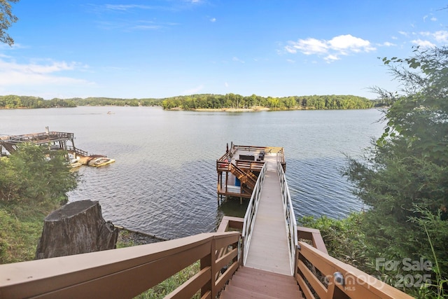 10108 Saw Mill Rd, Charlotte, NC 28278 - photo 39