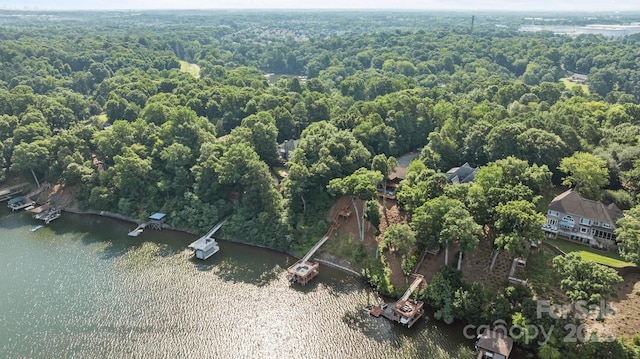 10108 Saw Mill Rd, Charlotte, NC 28278 - photo 46
