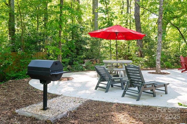 103 Blue Sky Ln, Hendersonville, NC 28792 - photo 35