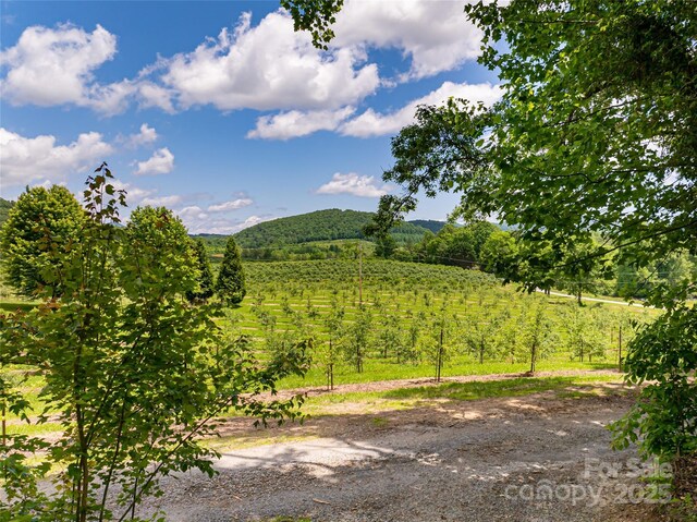 103 Blue Sky Ln, Hendersonville, NC 28792 - photo 48