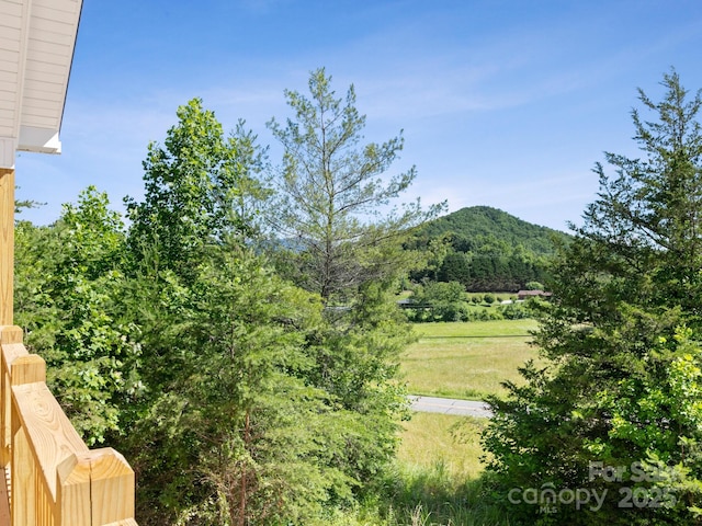 169 Vineyard Village Dr S Unit 4, Old Fort, NC 28762 - view of mountain background