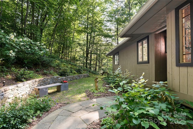 12 Beech Tree Ln, Asheville, NC 28804 - view of yard