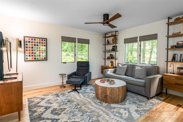 12 Beech Tree Ln, Asheville, NC 28804 - living room with plenty of natural light, ceiling fan, and wood finished floors