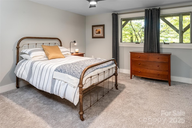 12 Beech Tree Ln, Asheville, NC 28804 - bedroom with carpet floors and a ceiling fan