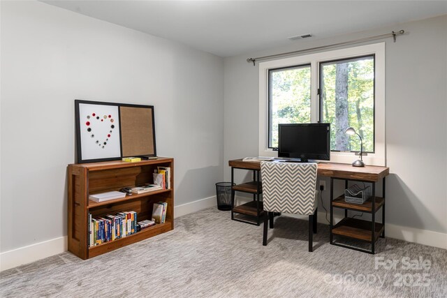 12 Beech Tree Ln, Asheville, NC 28804 - carpeted office space with baseboards