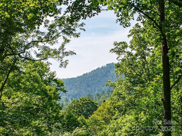 12 Beech Tree Ln, Asheville, NC 28804 - view of mountain background featuring a forest